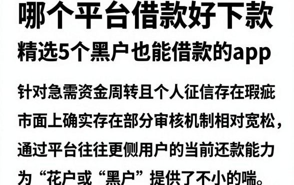 哪个平台借款好下款,精选5个黑户也能借款的app