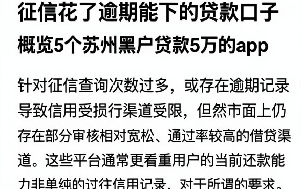 征信花了逾期能下的贷款口子，概览5个苏州黑户贷款5万的app