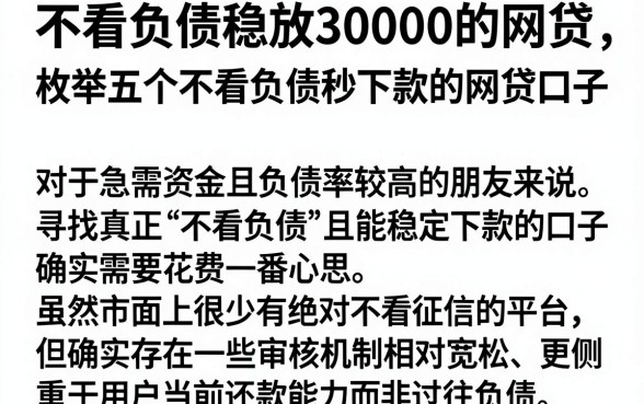 不看负债稳放30000的网贷,枚举五个不看负债秒下款的网贷口子