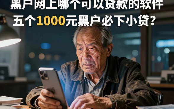 黑户网上哪个可以贷款的软件,汇总五个1000元黑户必下小贷