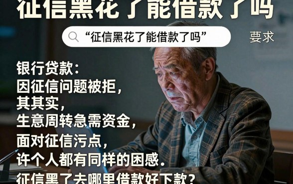 征信黑花了能借款了吗，枚举5个贷款好做不看征信的软件