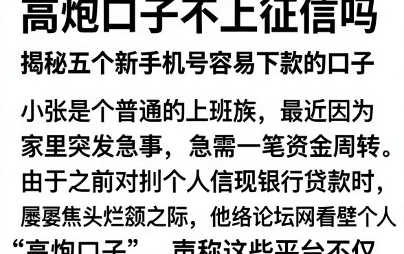 高炮口子不上征信吗,揭秘五个新手机号容易下款的口子
