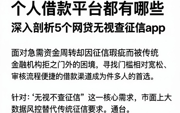 个人借款平台都有哪些，深入剖析5个网贷无视不查征信app