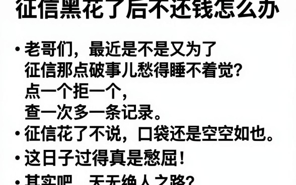 征信黑花了后不还钱怎么办，陈列五个百分百下款无视黑白户网贷平台