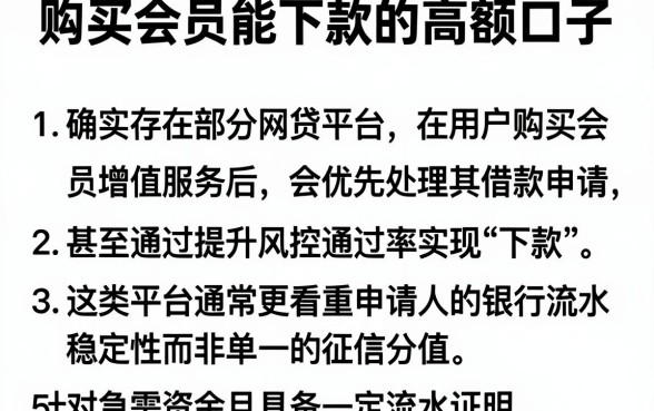 购买会员能下款的高额口子，概括5个看银行流水的网贷软件