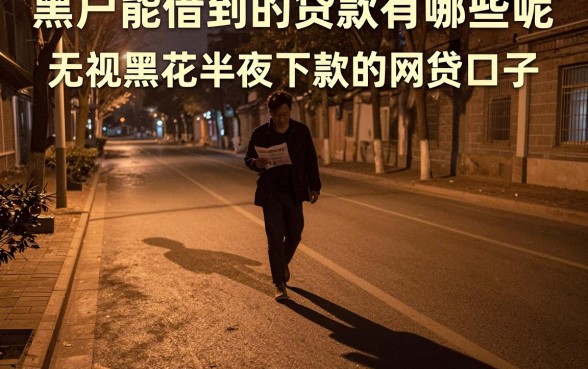 黑户能借到的贷款有哪些呢，详细阐述5个无视黑花半夜下款的网贷口子