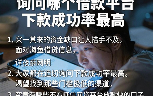 询问哪个借款平台下款成功率最高，详尽说明五个不看征信网贷平台放款快的口子