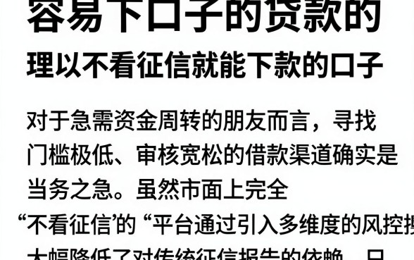 容易下口子的贷款的，理出5个可以不看征信就能下款的口子