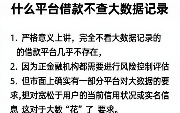 什么平台借款不查大数据记录,详尽说明5个靠谱的借款平台
