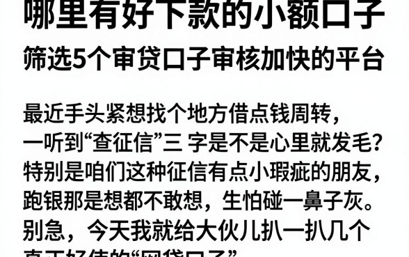 哪里有好下款的小额口子，筛选5个审贷口子审核加快的平台