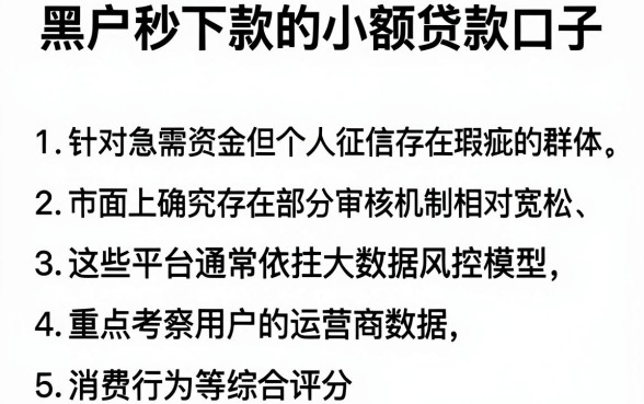 黑户秒下款的小额贷款口子,胪列五个秒批无面签贷款软件