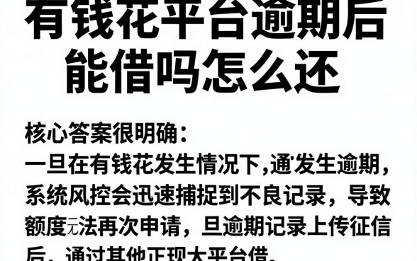 有钱花平台逾期后能借吗怎么还,深入剖析5个网黑全拒能下款的口子