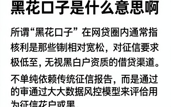 黑花口子是什么意思啊，梳理五个最新口子无视黑白户网贷
