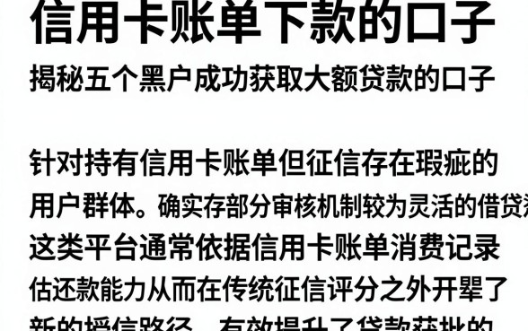 信用卡账单下款的口子，揭秘五个黑户成功获取大额贷款的口子