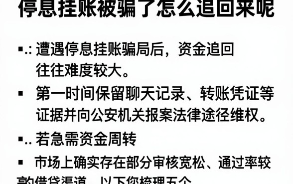 停息挂账被骗了怎么追回来呢，陈列五个无视黑白贷款口子