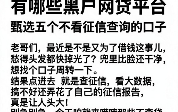 有哪些黑户网贷平台，甄选五个不看征信查询的口子