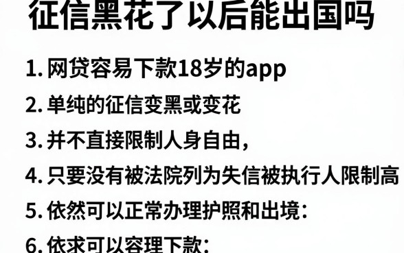 征信黑花了以后能出国吗，规整五个网贷容易下款18岁的app