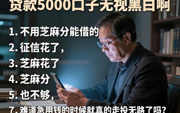 贷款5000口子无视黑白啊，罗列5个不用芝麻分能借的平台