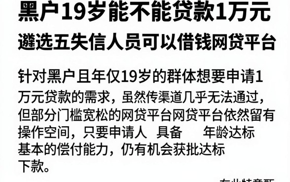 黑户19岁能不能贷款1万元，遴选五个失信人员可以借钱的网贷平台