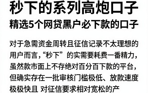 秒下的系列高炮口子，精选5个网贷黑户必下款的口子