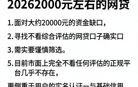 20262000元左右的网贷，详细阐述五个借钱平台不看综合评估的平台