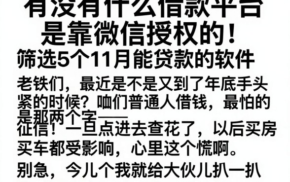 有没有什么借款平台是靠微信授权的,筛选5个11月能贷款的软件