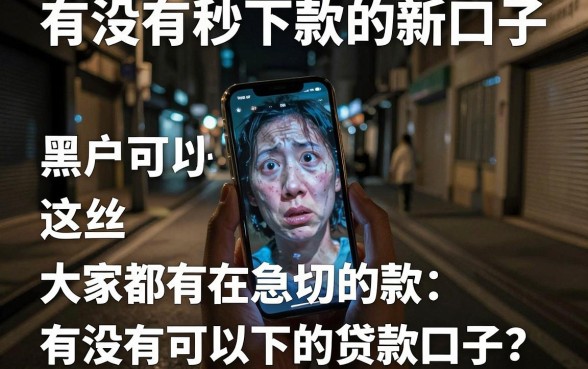 有没有秒下款的新口子，归纳五个黑户可以下的贷款口子