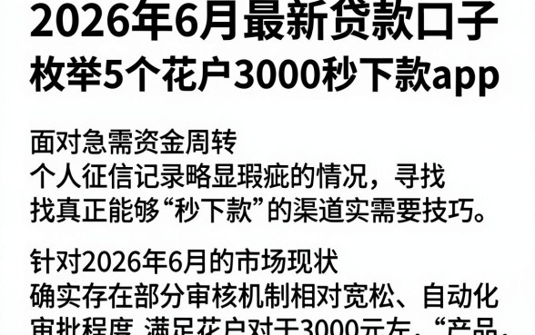 2026年6月最新贷款口子，枚举5个花户3000秒下款app