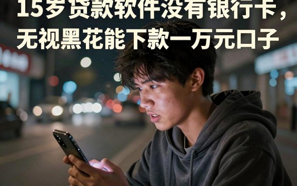 15岁贷款软件没有银行卡,诚意推荐5个无视黑花能下款一万元口子