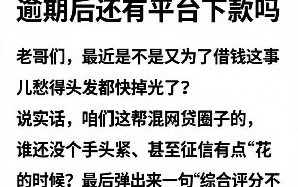 逾期后还有平台下款吗，细致阐述五个不看征信负债的网贷百分百下款口子