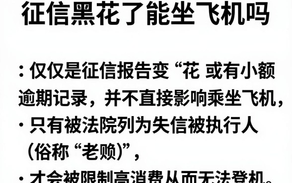 征信黑花了能坐飞机吗，整合五个无视黑白户秒下款口子app