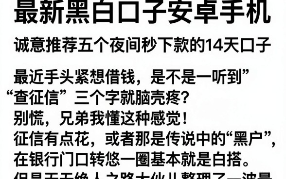 最新黑白口子安卓手机，诚意推荐五个夜间秒下款的14天口子