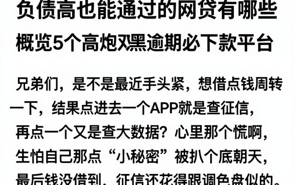 负债高也能通过的网贷有哪些,概览5个高炮双黑逾期必下款平台