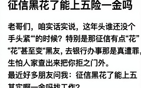 征信黑花了能上五险一金吗，详细阐述5个网贷口子风控不严的平台