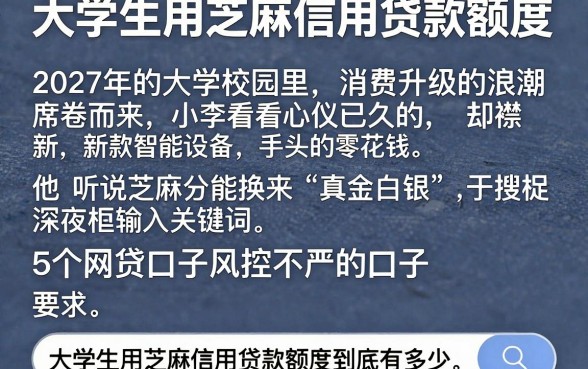 大学生用芝麻信用贷款额度，详细阐述5个网贷口子风控不严的口子