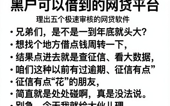 黑户可以借到的网贷平台,理出五个极速审核的网贷软件