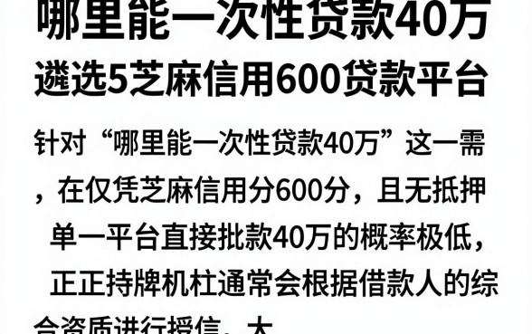 哪里能一次性贷款40万，遴选5个芝麻信用600贷款平台
