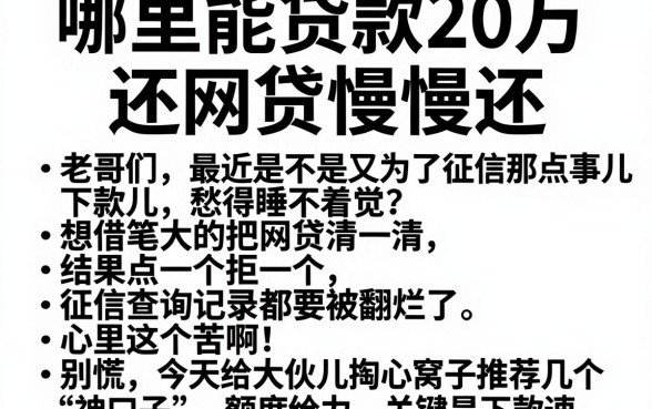 哪里能贷款20万还网贷慢慢还,陈列5个征信花居然都下款的软件