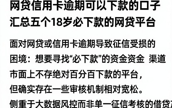 网贷信用卡逾期可以下款的口子,汇总五个18岁必下款的网贷平台
