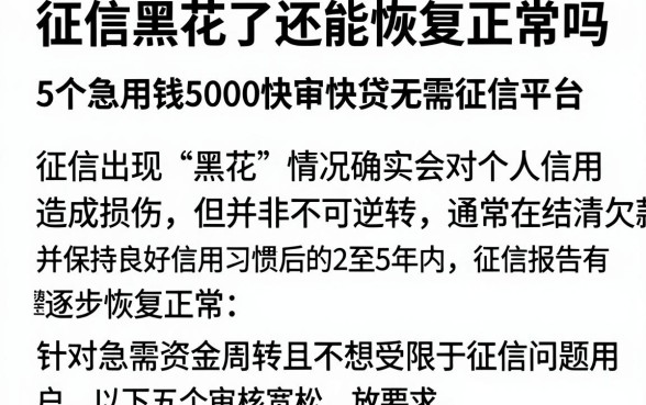 征信黑花了还能恢复正常吗,深入剖析5个急用钱5000快审快贷无需征信平台