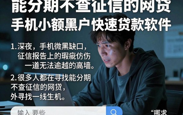能分期不查征信的网贷，详细阐述五个手机小额黑户快速贷款软件