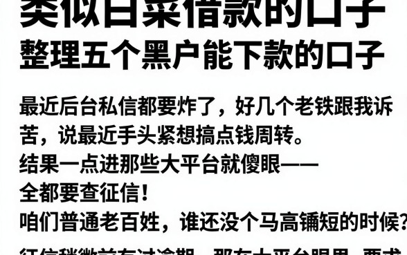 类似白菜借款的口子，整理五个黑户能下款的口子