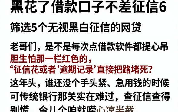 黑花了借款口子不差征信6，筛选5个无视黑白征信的网贷
