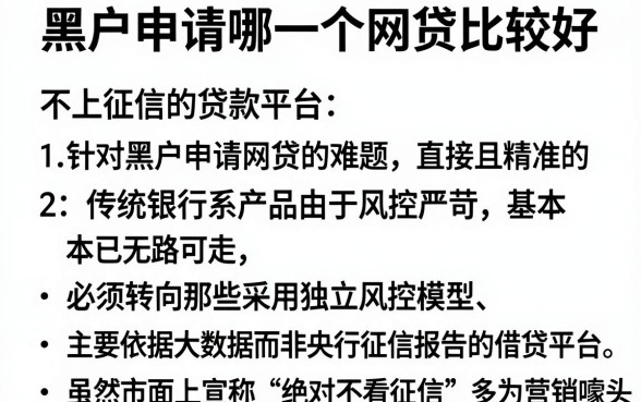 黑户申请哪一个网贷比较好，概括5个不上征信的贷款平台