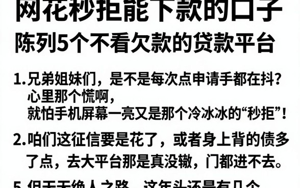 网花秒拒能下款的口子，陈列5个不看欠款的贷款平台