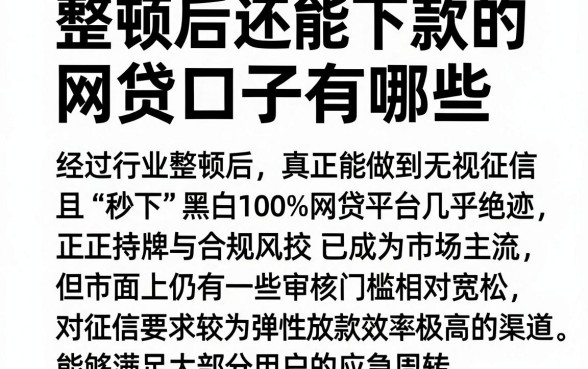 整顿后还能下款的网贷口子有哪些,概括5个无视征信黑白100%秒下网贷平台