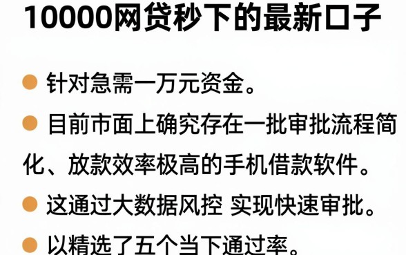 10000网贷秒下的最新口子，整合五个手机身份证秒借现金的软件