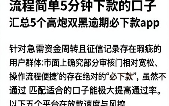 流程简单5分钟下款的口子，汇总5个高炮双黑逾期必下款app