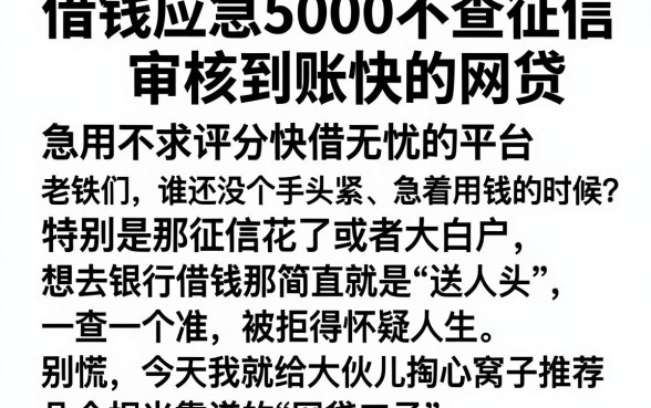 借钱应急5000不查征信审核到账快的网贷,详细阐述五个急用不求评分快借无忧的平台