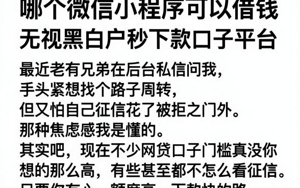 哪个微信小程序可以借钱,详细阐述五个无视黑白户秒下款口子平台